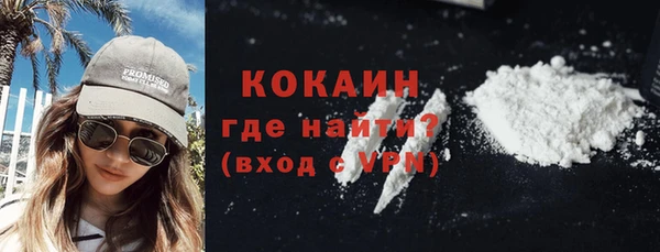 прущие грибы Абаза