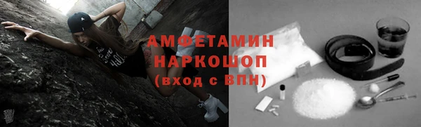 прущие грибы Абаза