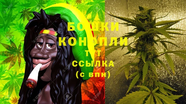 сатива Лагань