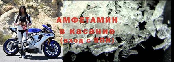 прущие грибы Абаза