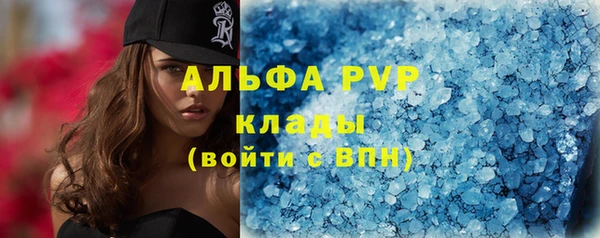 прущие грибы Абаза