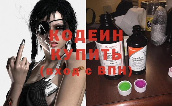 прущие грибы Абаза