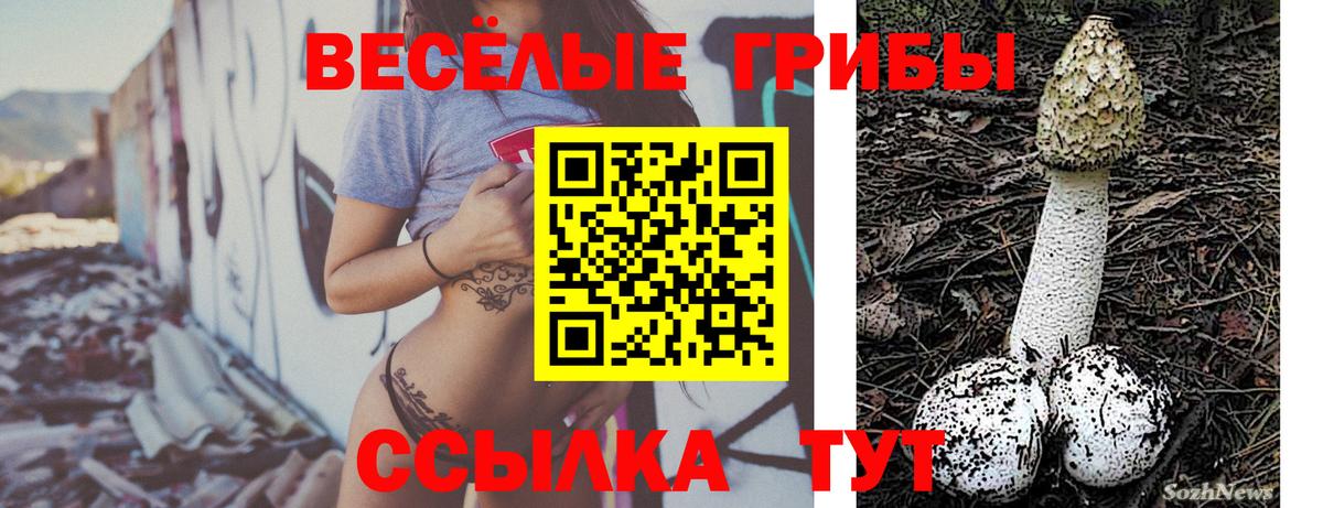 Галлюциногенные грибы прущие грибы  Псилоцибиновые грибы мухоморы  Вход с VPN  Ковров 