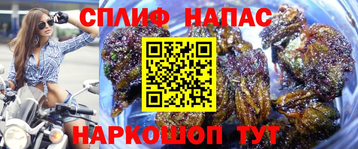 Конопля MAZAR  Вход с VPN  Ковров  Каннабис планчик 
